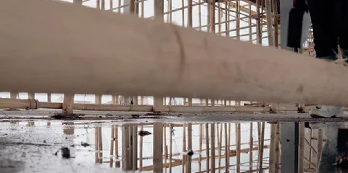 St. Petersburg Service Area